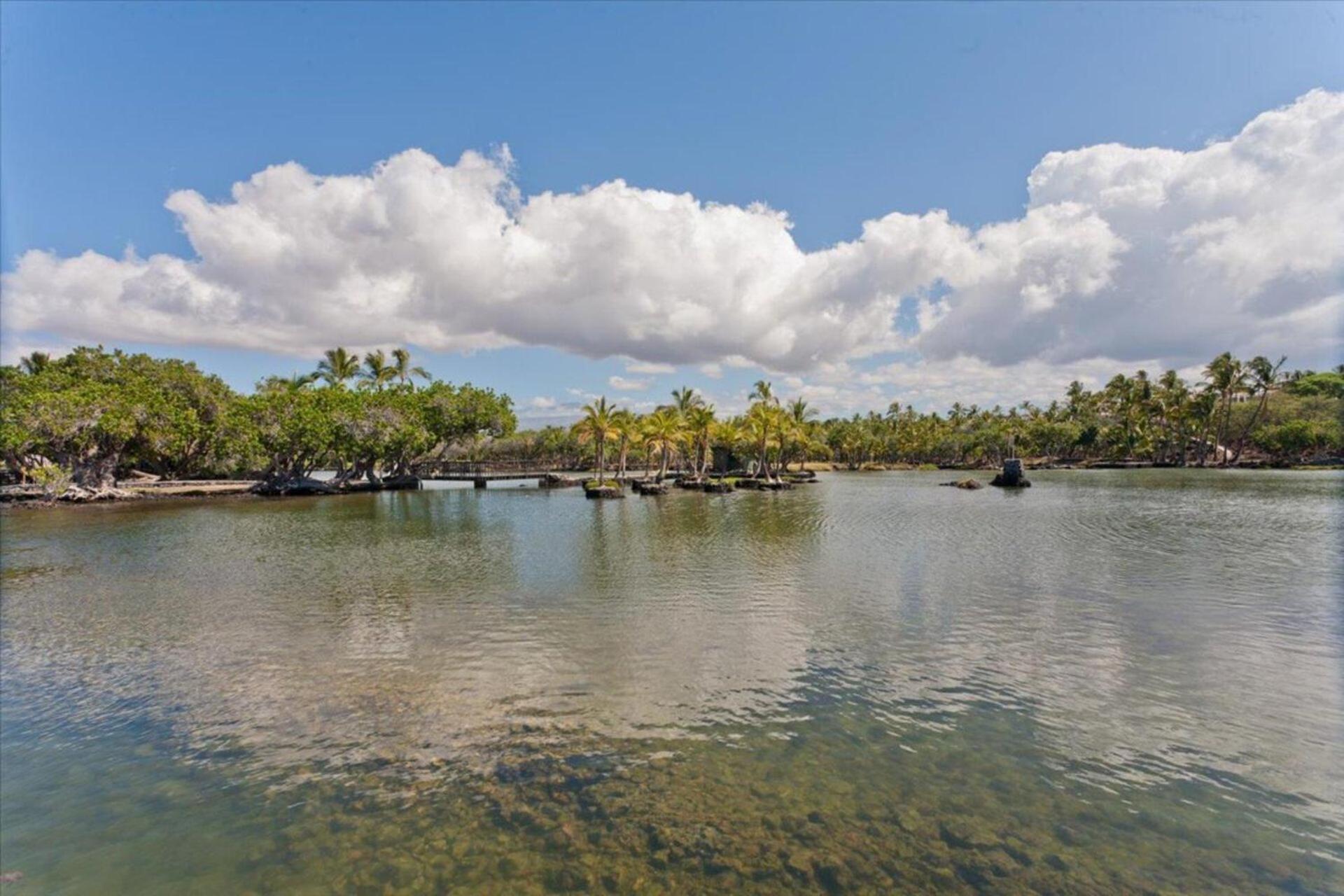 Hale O Ka Lau Villa Hapuna Beach Exterior photo